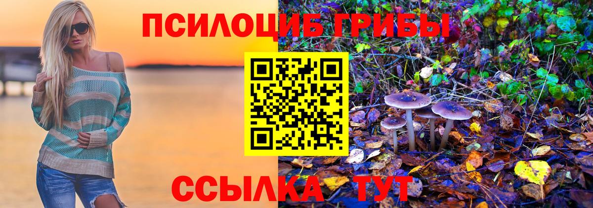Галлюциногенные грибы Cubensis  Вход с VPN  Якутск 