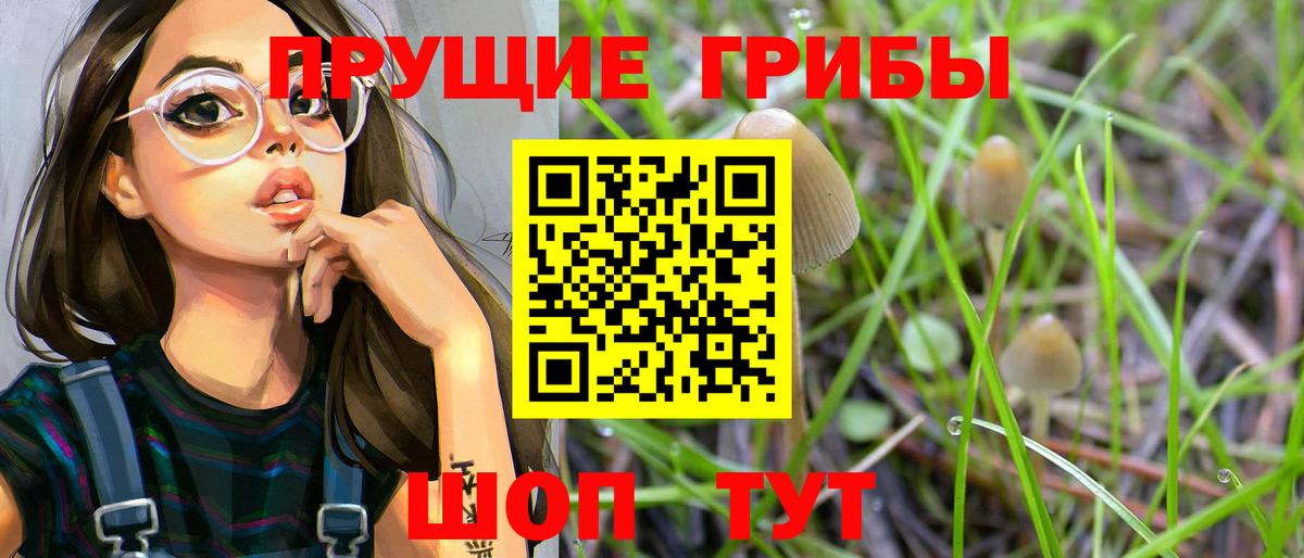 Псилоцибиновые грибы GOLDEN TEACHER Якутск